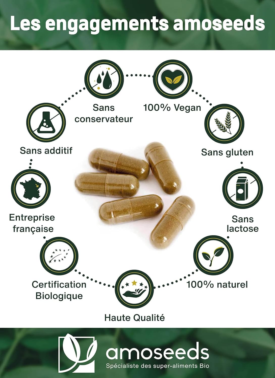 Moringa Oleifera BIO | Extra Fort, 10 000Mg Par Jour | 100% Naturel Et Pur | 90 Gélules Vegan De 400Mg | Qualité Supérieure